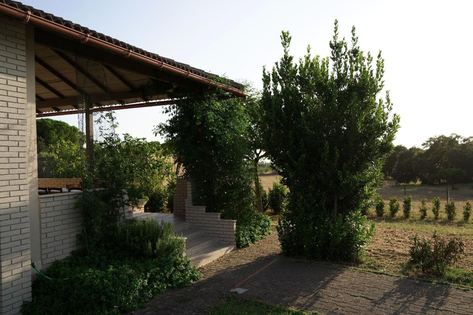 Accogliente Villa Con Piscina カルタジローネ エクステリア 写真