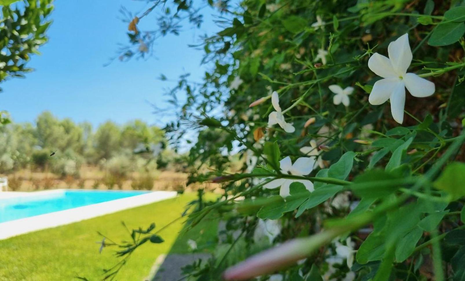 Accogliente Villa Con Piscina カルタジローネ エクステリア 写真
