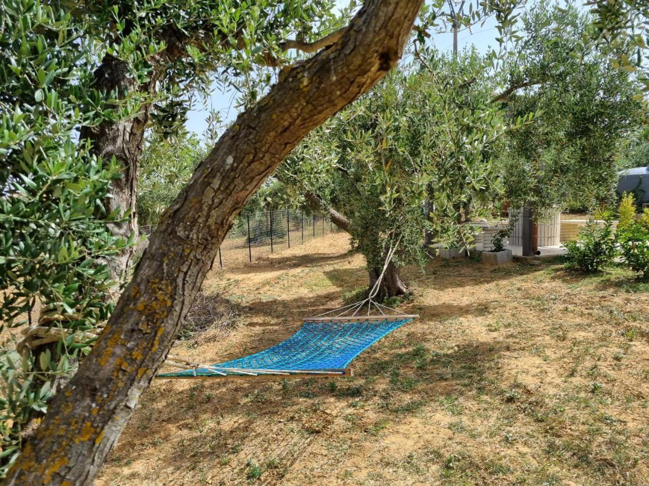 Accogliente Villa Con Piscina カルタジローネ エクステリア 写真