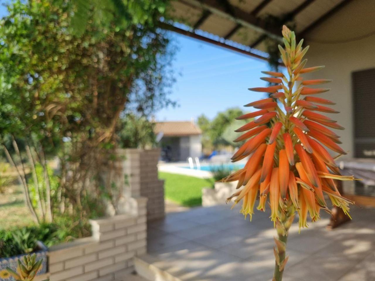 Accogliente Villa Con Piscina カルタジローネ エクステリア 写真